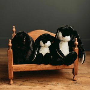 Little 12 Floppy Nibble Bunny – Black