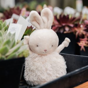 Roly Poly Rutabaga – Cream Bunny