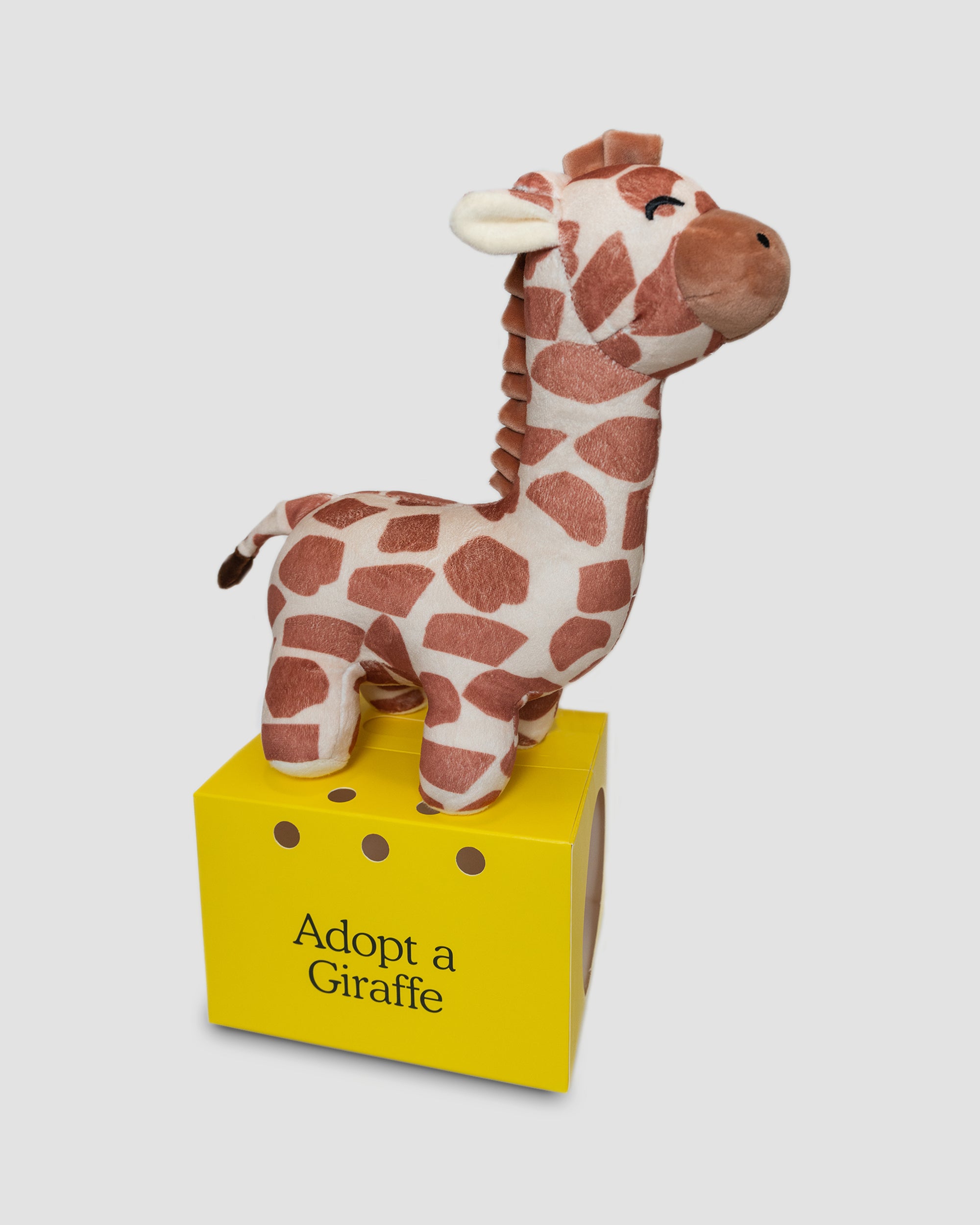 FYL_Giraffe_Box_7c606c75-5a42-4544-9aed-6237d0744393.jpg