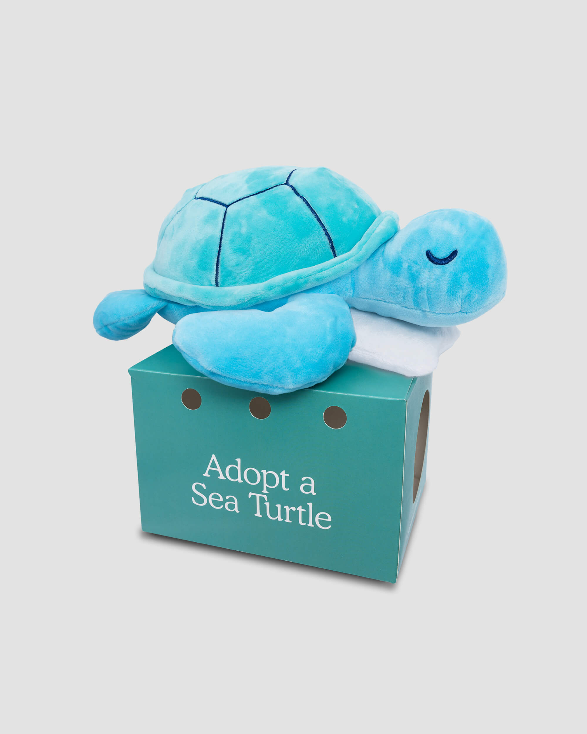 FYL_Plushies_SeaTurtle-1.jpg