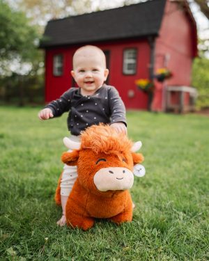 Jumbo Highland Cow Plushie